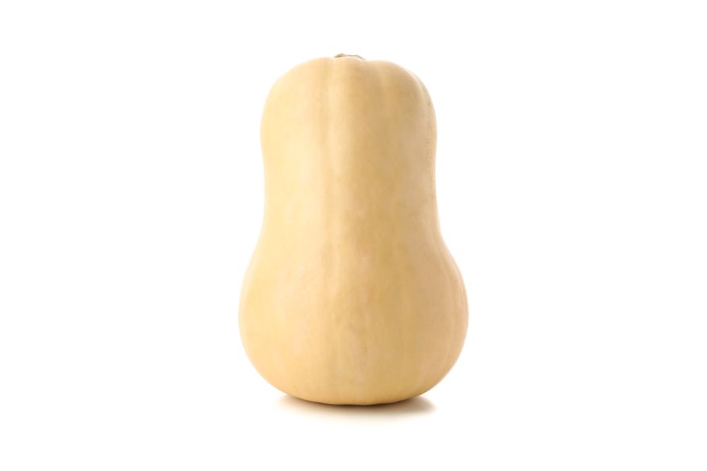 Fresh butternut squash isolated on neutral background