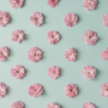 Pink flower pattern on blue pastel background