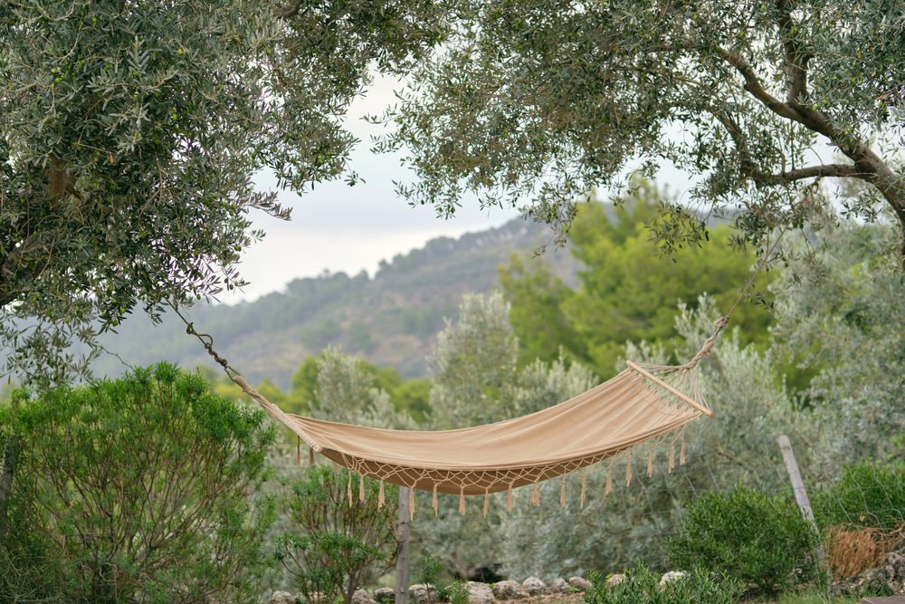 Hammock among green trees in mountainous valley