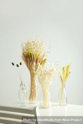 Four Glass Vases With Dried Flowers In Grey Room, Vertical Composition ...