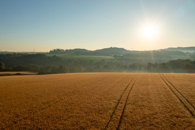 Aerial view with ripe  wheat fields at sunrise in the German countryside