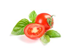 Fresh cherry tomatoes with basil isolated on blank background. Ripe vegetables