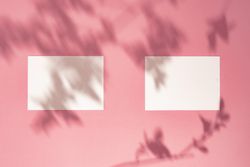 Paper card notes on bright pastel pink sunlit background with branch shadows