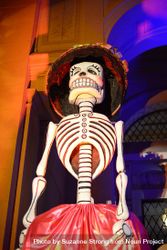 Tall Day of the Dead sculpture of woman with hat and skirt 0JvWr0