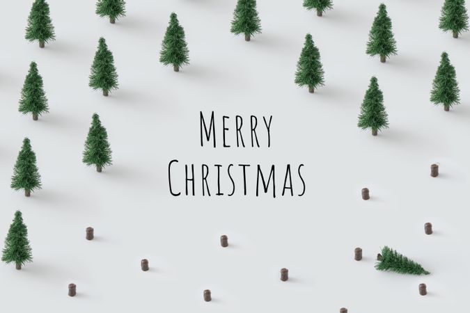 Minimal winter landscape scene with pine trees and chopped trees, with “Merry Christmas” text