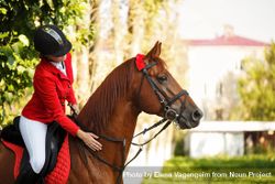 Pedigree horse with female horseback rider in red uniform 5kooD5