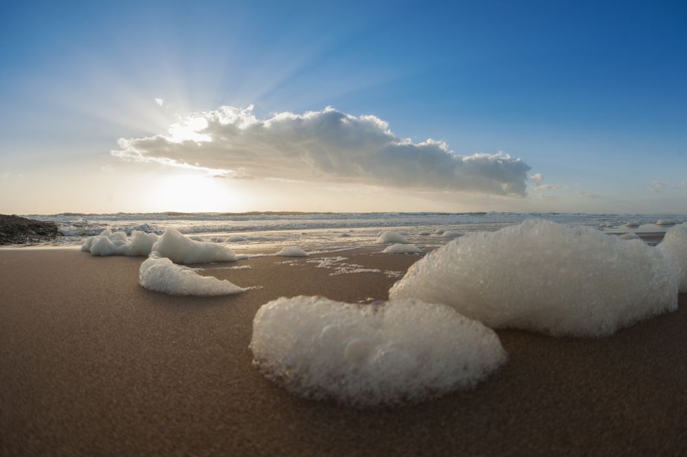 Coast with foam of sea and blue sky with cloud