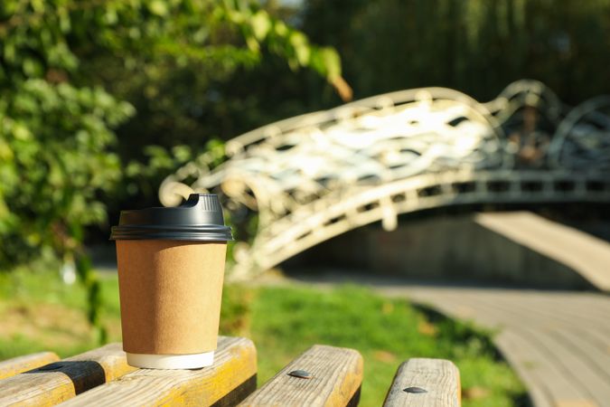 Paper cup on bench in beautiful city park