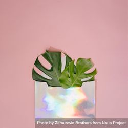 Monstera leaf on pastel coral background with iridescent envelope 0LPVy0