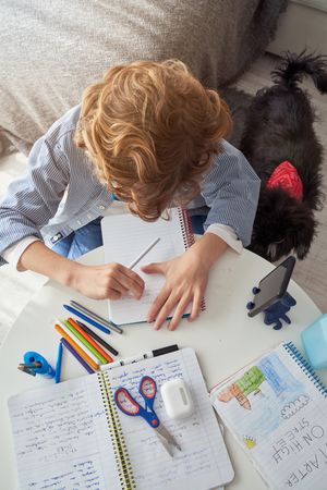 Boy with notebook and pencils sitting at table at home