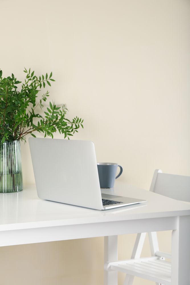 Laptop, vase with plant and coffee on light table