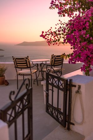 Overhang of pink bougainvillea flowers over a seaside patio at sunset