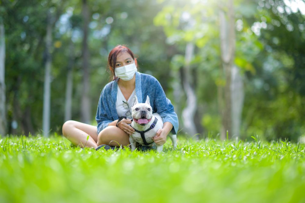 A woman wearing a medical mask sits on the lawn with a French bulldog.