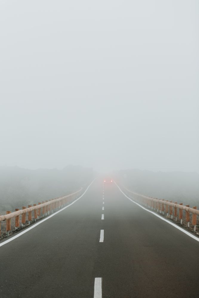 Asphalt road in foggy forest