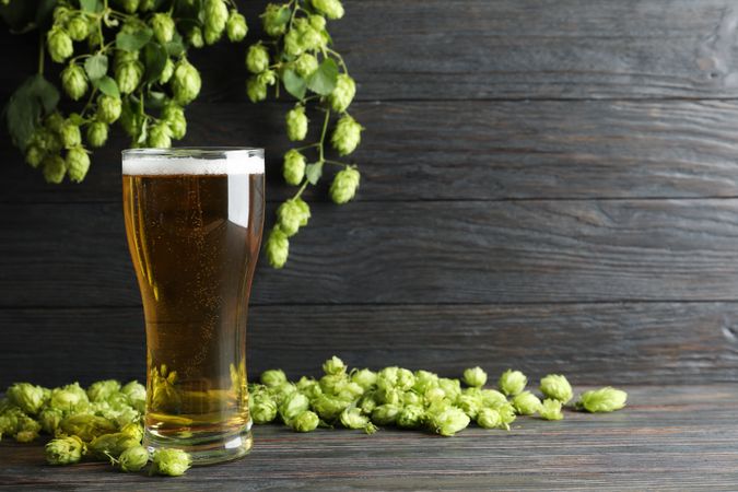 Mug with beer, spikelets and hop on wooden table, space for text