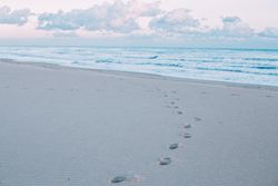 Beachy footprints, landscape