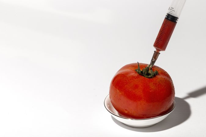 Paint injection into ripe tomato