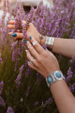 Beautiful sprigs of lavender in hands n sun