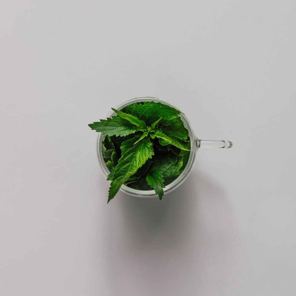 Top view of mug full of nettle leaves on light background