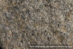 Close up of stone texture 5QEEn5