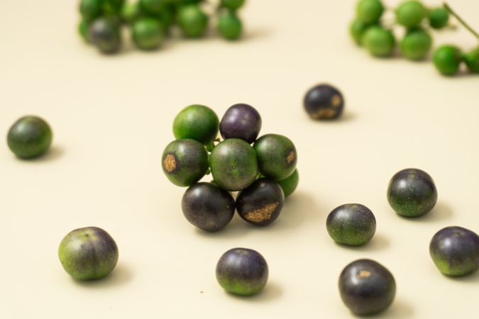 Fresh leunca (Solanum nigrum) berries