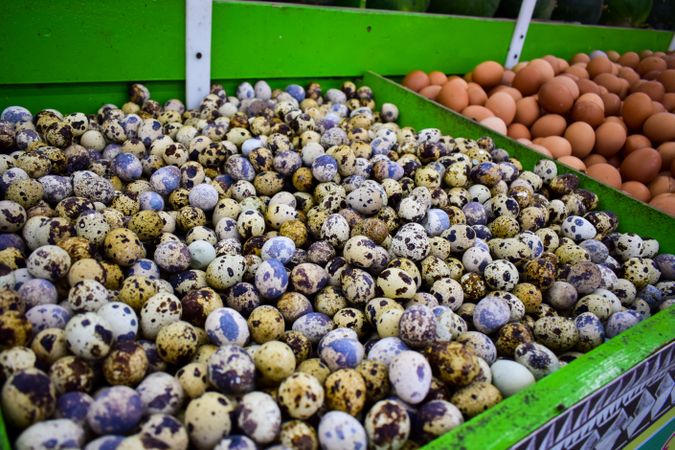 Quail eggs for sale in market