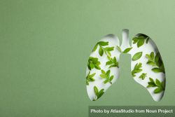 Lung shape cut out of green paper revealing leaves underneath with copy space bxJvr5