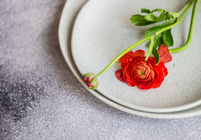 Rustic table setting with red buttercup flowers on grey plate with space for text