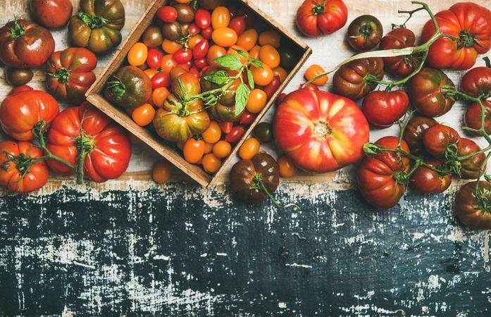 Assortment of different tomatoes, large to small and green to red, with navy copy space