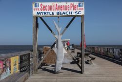 Fake shark for tourist photos at the Second Avenue Pier in Myrtle Beach, South Carolina x429e5