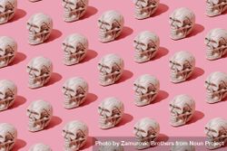 Row of skulls on pink background 4Mlra5