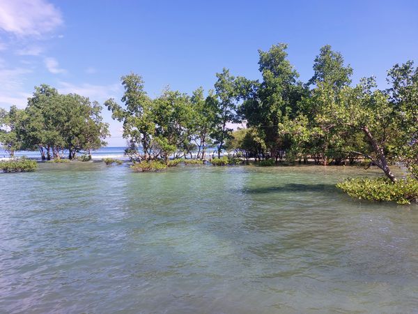 The landscape around the sea
