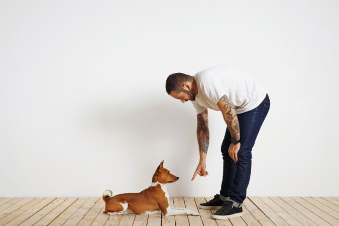 Casual, tattooed man teaching dog to sit on command