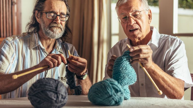 Two friends knitting at home
