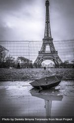 Eiffel tower monochrome on rainy day 4m1VQ4