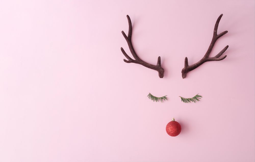 Reindeer face made of evergreen fir eyelashes, red bauble decoration and antlers on pink background