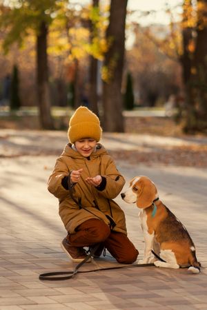 Little boy walks dog