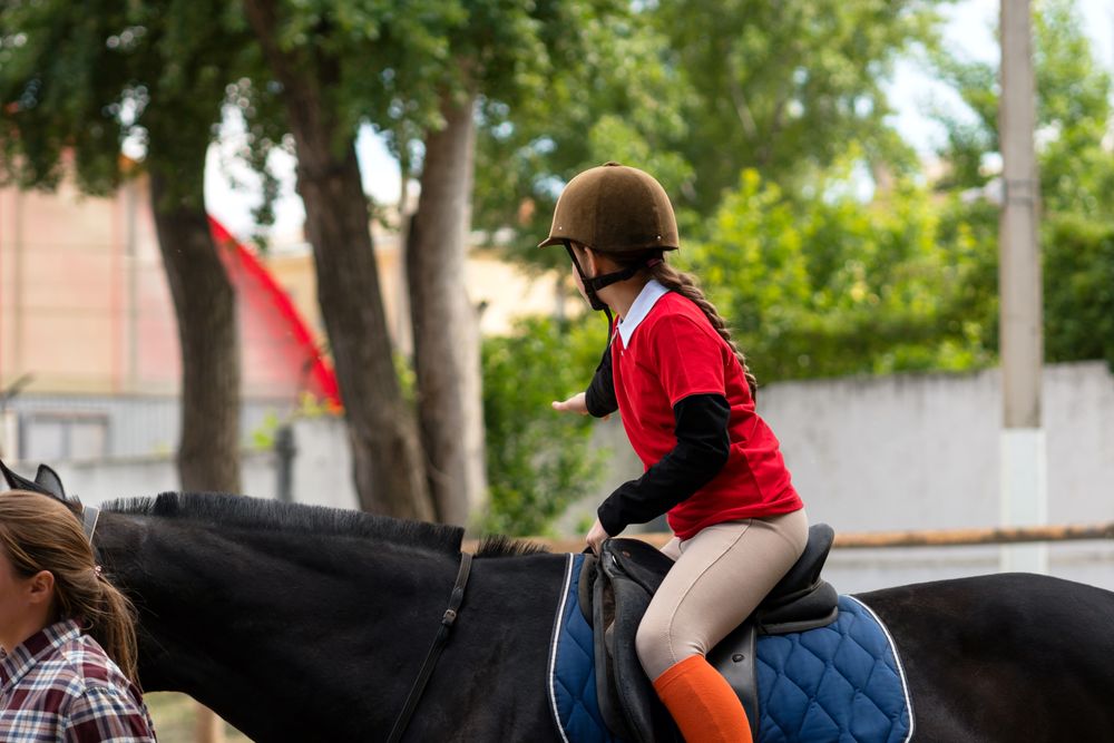 Rider practices equestrian skills in tree-lined riding arena.