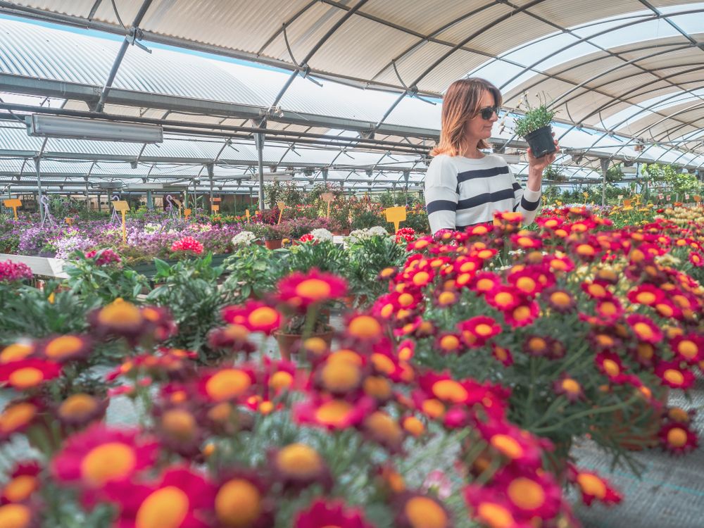 Female studying flowers in greenhouse