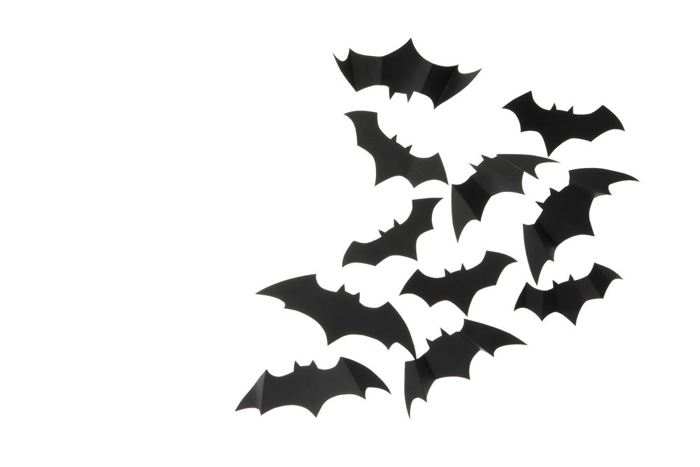 paper bats isolated on blank background