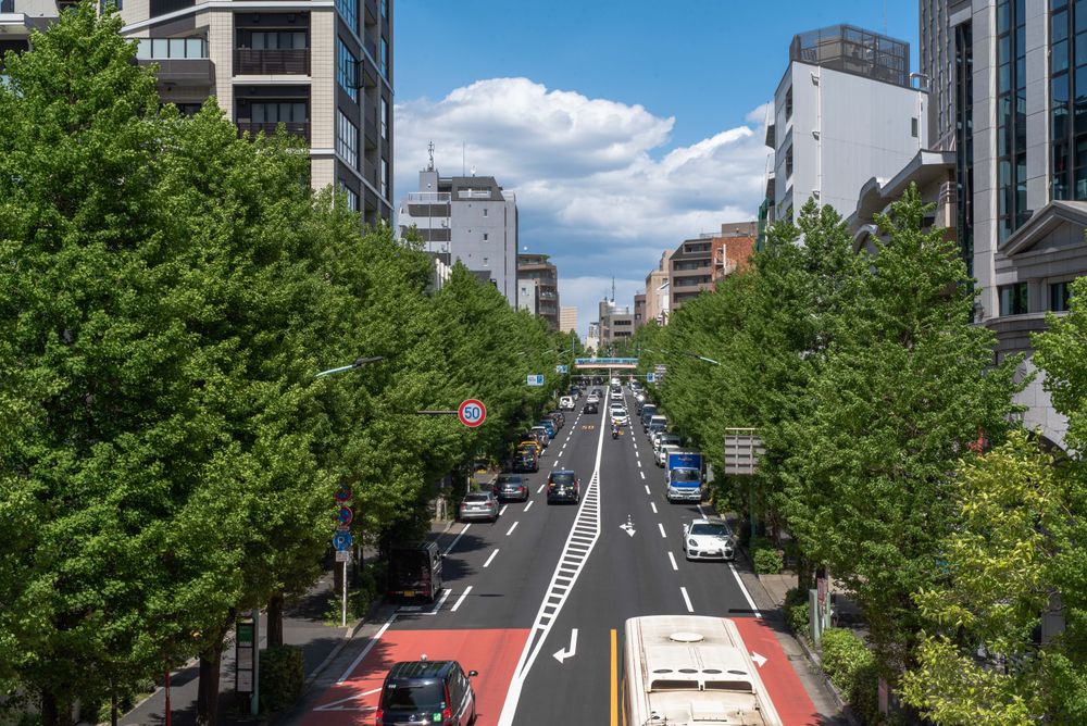 Cars on road between high rise buildings in Ebisu, Japan