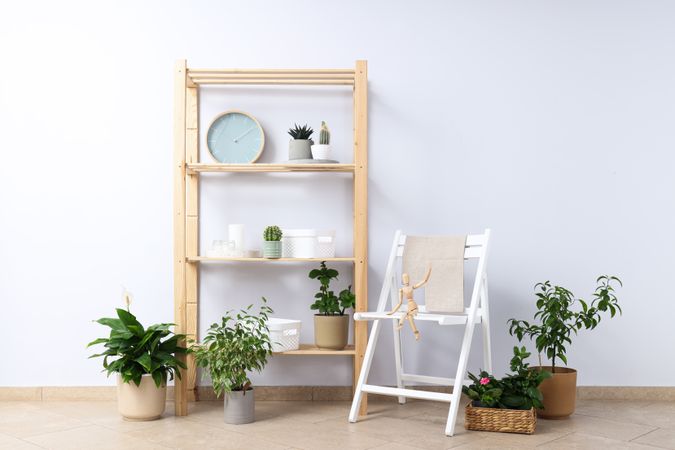 Cozy hobby - growing indoor plants at home