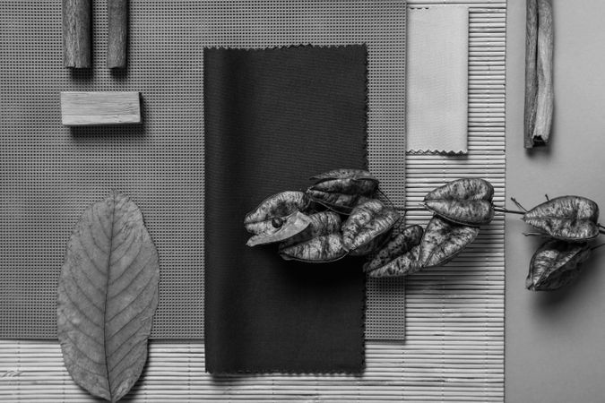 Flat lay of creative moodboard composition, top view