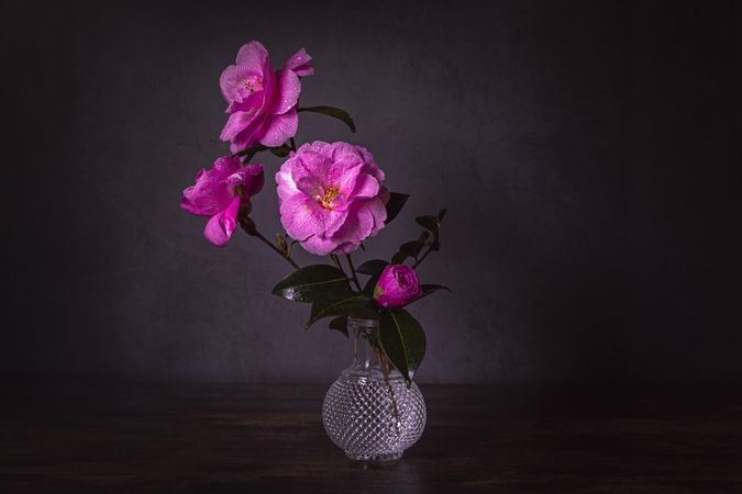 Bouquet of camellia flower in glass vase on wooden table