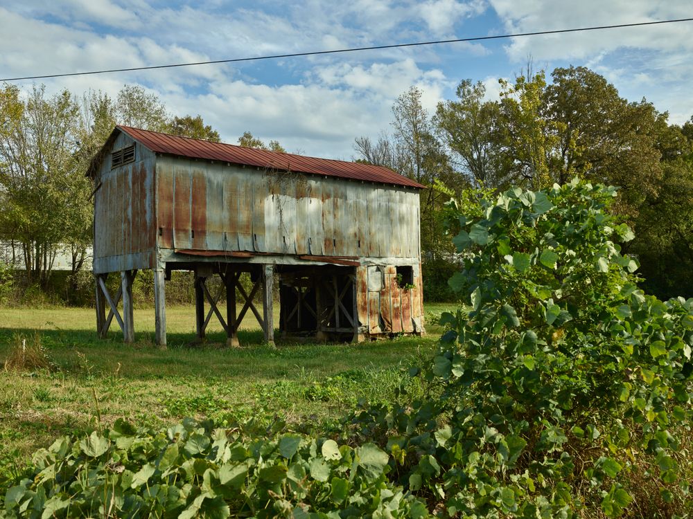 Old cotton-processing plant in Abbeville, Mississippi