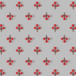 Mistletoe berry artfully arranged on exact rows on gray background