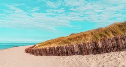 Landscape with the beautiful beach on Sylt island under a blue sky