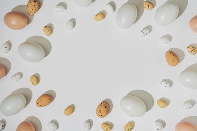 Natural shades of eggs bordering light  background