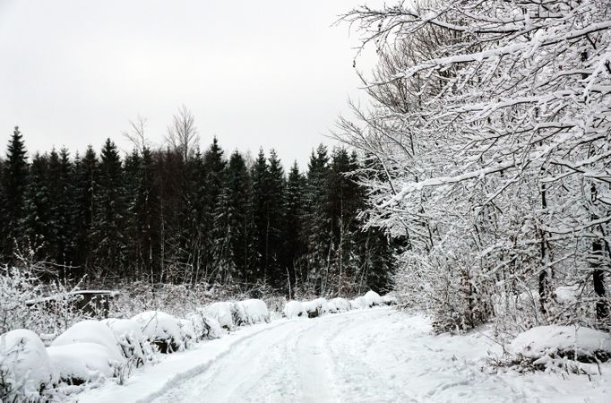 View to road covered with snow in winter nature.