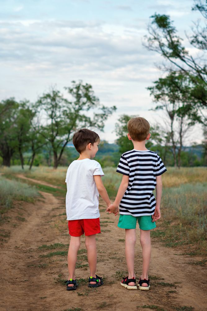 Two little brothers walking in countryside